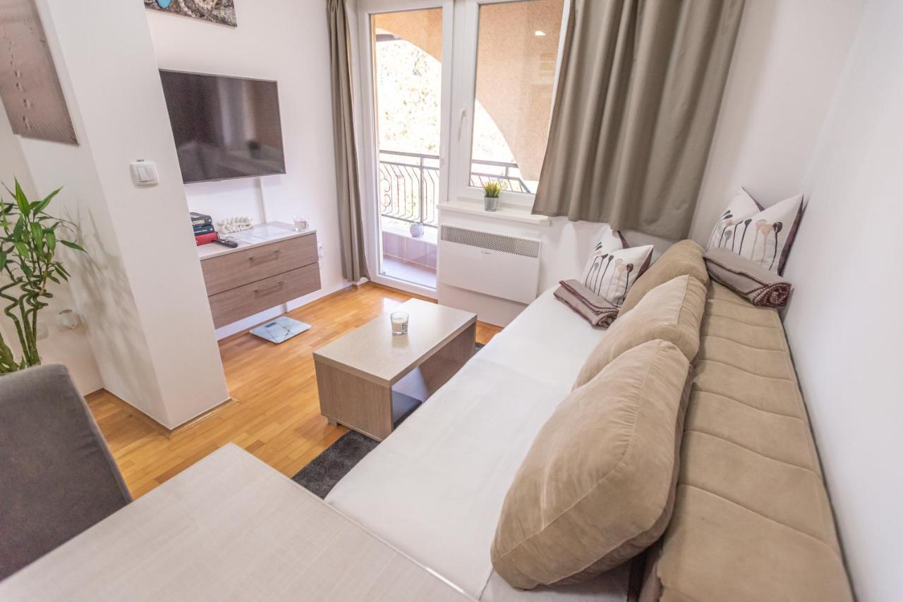 Apartment Danica Banja Koviljača Exterior foto