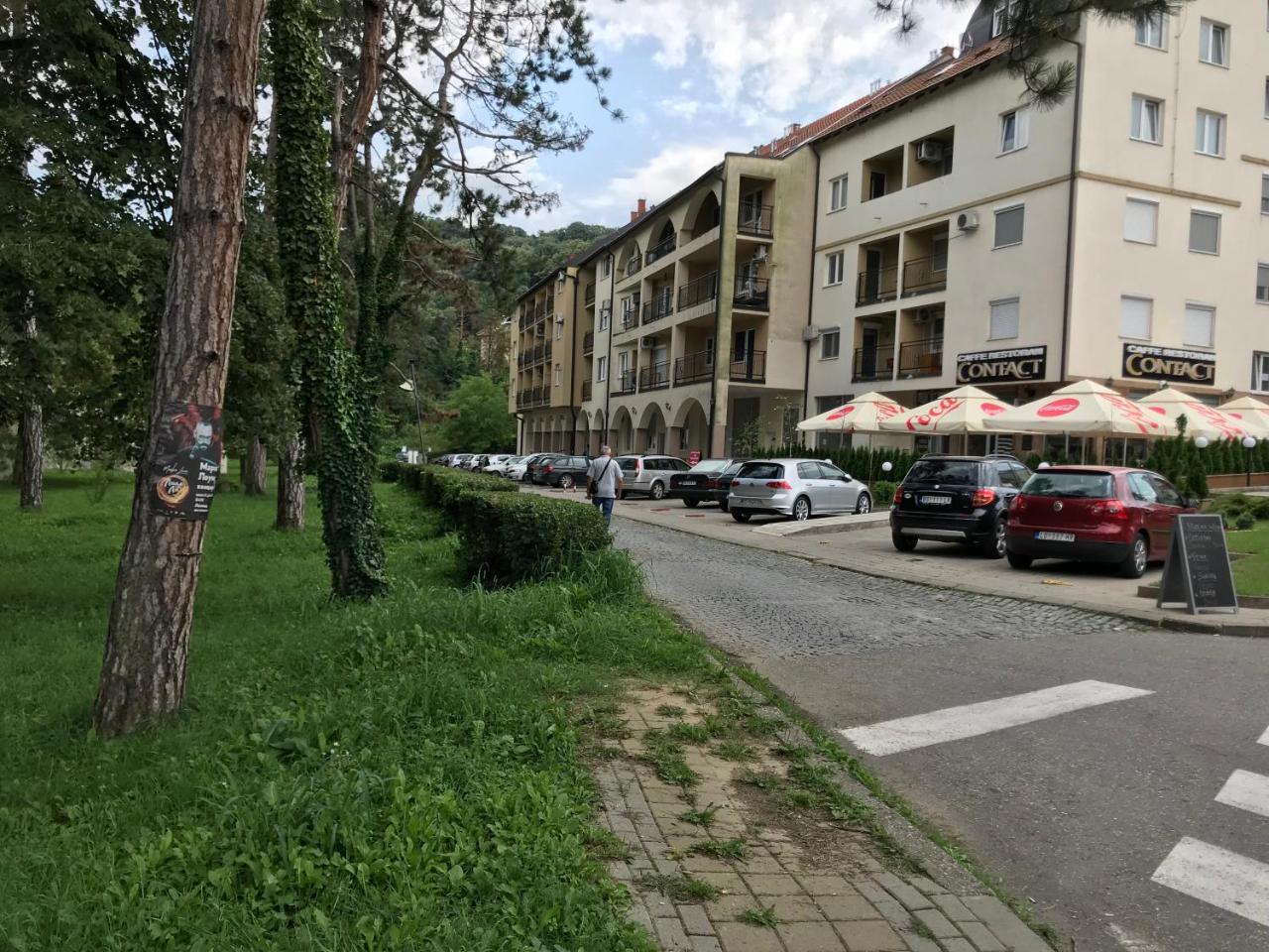Apartment Danica Banja Koviljača Exterior foto